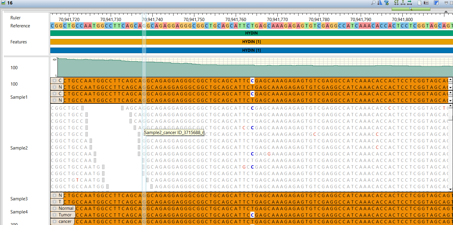 MUTECT2_Paired_alignment_view_z2b0et paired dataset in alignment view of GenVision Pro